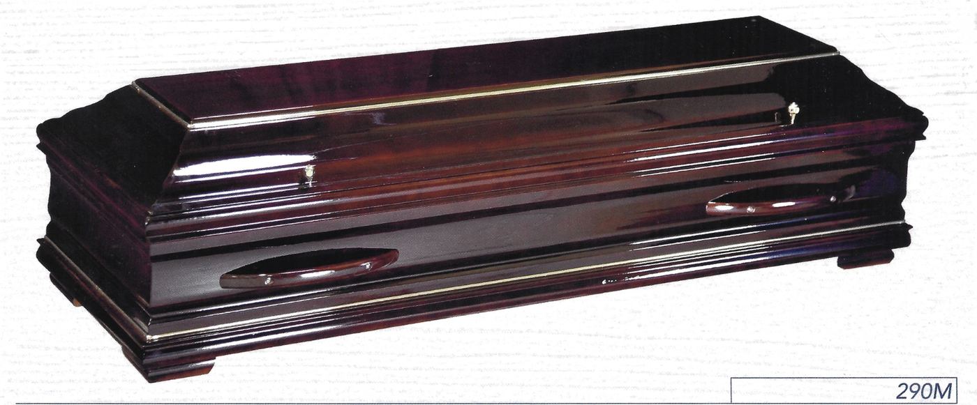Lijes 290 M — Omega Zelina